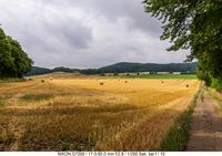 Wanderung um den Laacher See